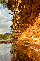 Cliffs of Murchison River Gorge, Kalbarri National Park, Pilbara Region, Western Australia.