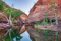Cliffs with striation and river in Hamersley Gorge, Karijini National Park, Pilbarra, Western Australia, December 2015.