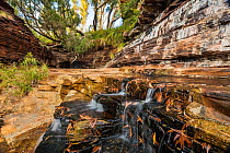 Kalamina Gorge, Karijini National Park, Pilbarra, Western Australia, December 2015.