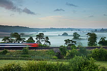 London Waterloo to Exeter train passing Milborne Wick on a misty summer's morning, Somerset, England, UK, June 2015.