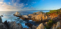 Panoramic of Point Lobos State Natural Reserve, Big Sur Coast, California, USA, September 2014.