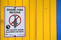 No landing of sharks at this dock - sign. North Bimini, Bahamas. The Bahamas National Shark Sanctuary. Gulf Stream, West Atlantic Ocean.