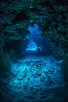 View through a cavern in a coral reef, with a Small grouper (Cephalopholis cruentata) in the distance. Snapper Hole, East End, Grand Cayman, Cayman Islands, British West Indies. Caribbean Sea.