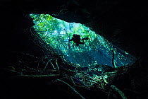 Diver  descending into a freshwater cenote (or limestone sinkhole) swimming through beams of sun light beneath forest.  Esmeralda cenote, Tamja Ha Cenote, Puerto Aventuras, Quintana Roo, Yucatan, Mexi...