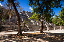 Structure II (Great Pyramid), one of the largest Mayan structures. This temple pyramid is built over a smaller pyramid which dates back to 400 BC-250 AD with later extensions added on to the building,...