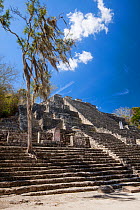 Structure II (Great Pyramid), one of the largest Mayan structures. This temple pyramid is built over a smaller pyramid which dates back to 400 BC-250 AD with later extensions added on to the building,...