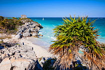 Coast off the pre-Columbian Mayan walled city, Tulum, with Temple of the God of Wind. Tulum National Park, Quintana Roo, Mexico.