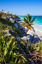 Coast off the pre-Columbian Mayan walled city, Tulum, with the Castillo. Tulum National Park, Quintana Roo, Mexico.
