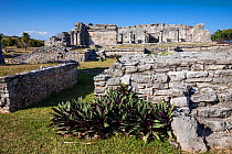 The Grand Palace at Tulum Archaeological Site, Tulum National Park, Quintana Roo. Mexico, March 2017.