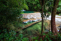 Cedro River, Lacan-tun, Montes Azules Biosphere Reserve, Chiapas. Mexico, March 2017.