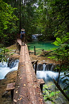 Rainforest scene in Lacan-tun, Montes Azules Biosphere Reserve, Chiapas. Mexico