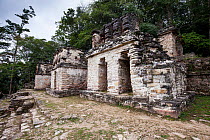 Bonampak Mayan Ruins,  Montes Azules Biosphere Reserve, Chiapas. Mexico, March 2017.