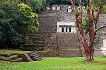 Bonampak Mayan ruins,  Montes Azules Biosphere Reserve, Chiapas. Mexico.