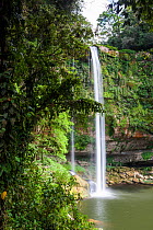 Misol-ha Waterfall, Ejido San Miguel, Salto de Agua Municipality, Chiapas. Mexico, March 2017.