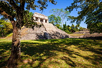 El Conde pyramid, Palenque Mayan ruins, Chiapas, Mexico, March 2017.