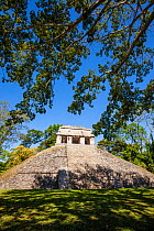 El Conde pyramid, Palenque Mayan ruins, Pre-Hispanic City and National Park of Palenque UNESCO World Heritage Site, Chiapas, Mexico, March 2017.