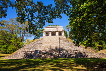 El Conde pyramid, Palenque Mayan ruins, Pre-Hispanic City and National Park of Palenque UNESCO World Heritage Site, Chiapas, Mexico, March 2017.