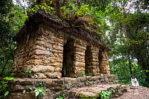 Lacanja Ruins,  Montes Azules Biosphere Reserve, Chiapas. Mexico