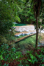 Cedro River, Lacan-tun, Montes Azules Biosphere Reserve, Chiapas. Mexico, March 2017.