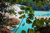 Otulun River. Agua Azul Waterfalls Protected Natural Area.Chiapas. Mexico