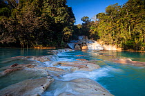 Otulun River and  Agua Azul waterfalls Protected Natural Area, Chiapas, Mexico