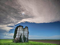 RF - Ruins of old windmill,  Nampont, Somme, France, (This image may be licensed either as rights managed or royalty free.)