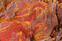 Sandstone with oxidation (iron and manganese) Flores island, Indonesia