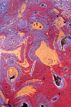 Sandstone with oxidation (iron and manganese),  Flores island, Indonesia
