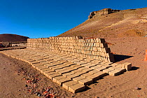 Adobe mud bricks drying and stacked ready for use. Bolivia. December 2016.