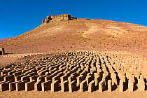Adobe mud bricks drying in the sun. Bolivia.