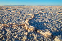 Salt crystals on surface of Salar de Uyuni Salt Pan. Bolivia. December 2016.