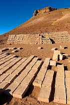 Adobe mud bricks drying and stacked ready for use. Bolivia, December 2016.