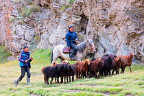Shepherd boys at Tash Rabat. Kyrgyzstan. August 2016.