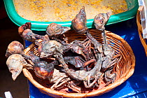 Llama foetuses for sale in a La Paz market, Bolivia. December 2016. The "Witches' Market" stalls of La Paz are run by local witch doctors. Llama foetuses are believed to be good luck and are sometimes...