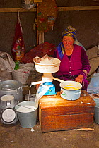 Kyrgyz woman making cream. Kyrgyzstan. August 2016.