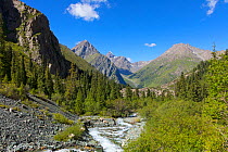 Terskey Alatau Mountains, Karakol, Kyrgyzstan. August 2016.