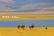 Yurts and horses by Song Kul Lake, Kyrgyzstan. August 2016.
