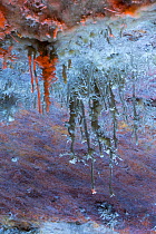 Eccentric stalactites, El Soplao cave, Cantabria, Spain, Europe