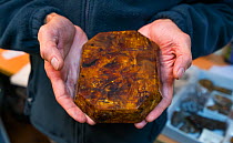 Person holding amber deposit from El Soplao cave, Cantabria, Spain, July 2016.