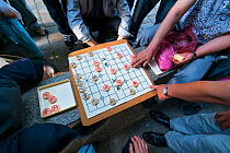 People playing  Xiangqi, also called Chinese chess, Green, Lake Park, Kunming, Yunnan, China, Asia