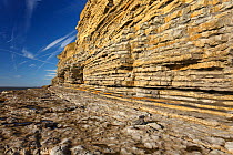 Sedimentary rocks, consisting of Carboniferous limestone overlaid with Jurassic sandstone. Southerndown bedding planes, Dunraven Bay, Glamorgan, UK, January 2017.