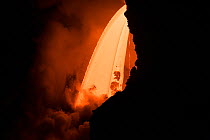 Hot lava from the 61G flow from Kilauea Volcano entering the ocean from the open end of a lava tube at the Kamokuna entry in Hawaii Volcanoes National Park, producing a great cloud of steam, Kalapana,...