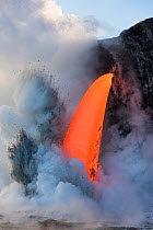 Hot lava from the 61G flow from Kilauea Volcano entering the ocean from the open end of a lava tube at the Kamokuna entry in Hawaii Volcanoes National Park, producing steam explosions, Kalapana, Puna,...