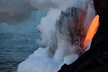 Hot lava from the 61G flow from Kilauea Volcano entering the ocean from the open end of a lava tube at the Kamokuna entry in Hawaii Volcanoes National Park, producing a great cloud of steam and violen...