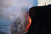 An unauthorized hiker in a restricted zone venturing out onto an unstable sea cliff over a lava tube where hot lava from the 61G flow from Kilauea Volcano enters the ocean from the open end of a lava...