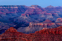 Grand Canyon's South Rim, Grand Canyon National Park, Arizona, USA, June 2012.