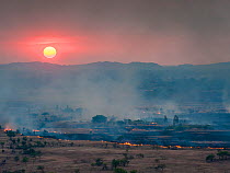Deforestation and grass burning near Ankarana National Park, Northern Madagascar, November 2010.
