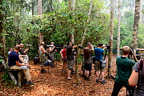 Nature photographers and tourists waiting for orangutans to appear, Tanjung Puting NP, Kalimantan, Borneo, Indonesia, October.