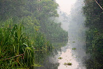 Sekonyer River with smoke in the air from an illegal forest fire, Tanjung Puting National Park, Indonesia, Central Borneo Province, Central Kalimantan, October 2015.