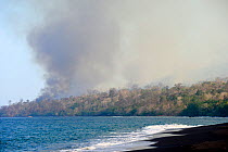 Fire inside the Tangkoko National Park. The fire lasted two weeks, until it was extinguished by a storm from the sea. Sulawesi, Indonesia, October 2015.